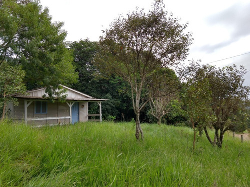 Chácara 4.800 M² - Pega Fogo - Taquara - Rs - 2206 - 34382146