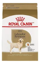 Comprar Royal Canin Labrador Retriever Perro Raza  Grande 13.6kg