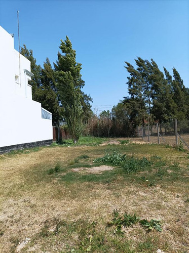 Terreno En Venta - 325mts2 - Altos De Don Carlos