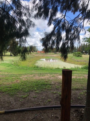 Imagen 4 de 10 de Lotes En Cañuelas.