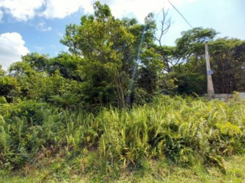 Imagem 2 de 4 de Terreno Lado Praia 20 Mil + Parcelas 9429 R