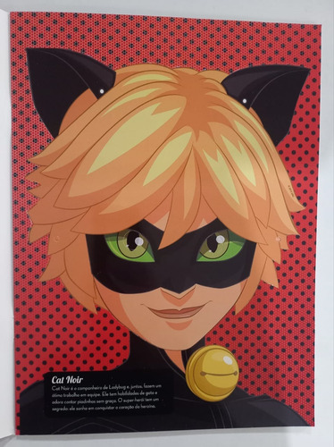 Miraculus Livro Das Máscaras 7 Máscaras Ladybug E Sua Turma