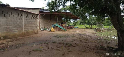 Imagen 27 de 28 de Finca En Venta Guarico