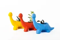 Comprar Maceta Dinosaurio Con Suculenta O Cactus Patio Jardín Deco