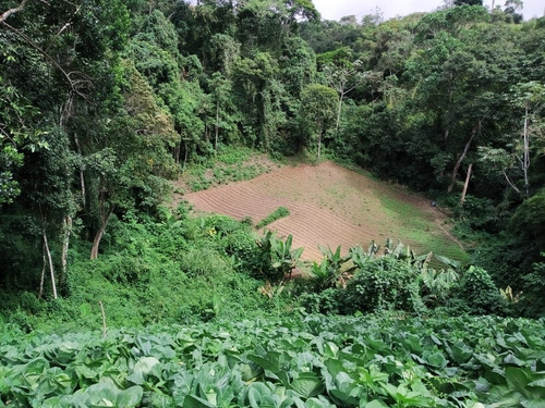 Imagen 5 de 7 de Vendo Lote De Terreno De 45.000 M2, Uso Residencial, Recreacional O Agrícola, Ref. 300.000 - Carrizal Edo. Miranda