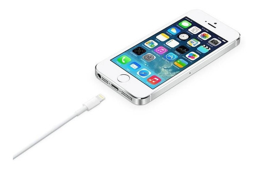 Apple Cable Lightning A Usb C 2 Metros