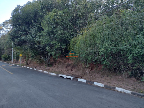 Imagem 5 de 5 de Terreno - Te00062 - 69839158
