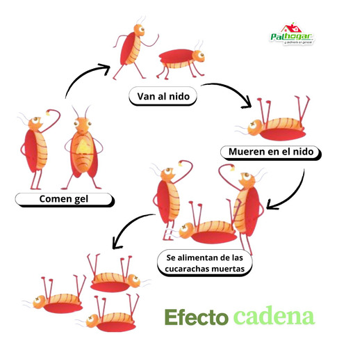 X-termin En Gel 30g Cebo Mata Cucarachas Chimenes 3 Jeringas