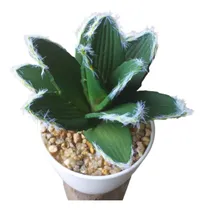 Comprar Cactus Y Suculentas Artificiales En Macetita Plantas