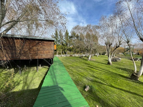 Imagen 15 de 27 de Isla Borsani ; Rio Santiago; Puerto La Plata; Berisso Venta