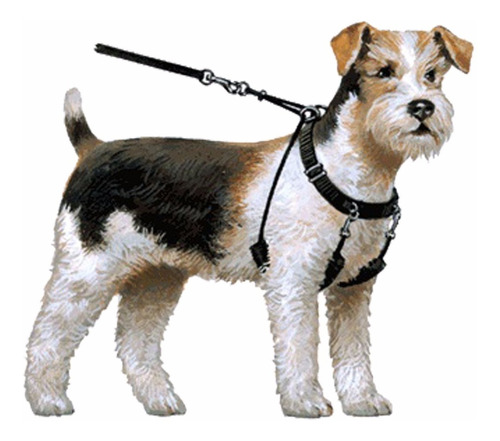 Arnes Lupi + Manual De Adiestramiento Perros Collar Pretal