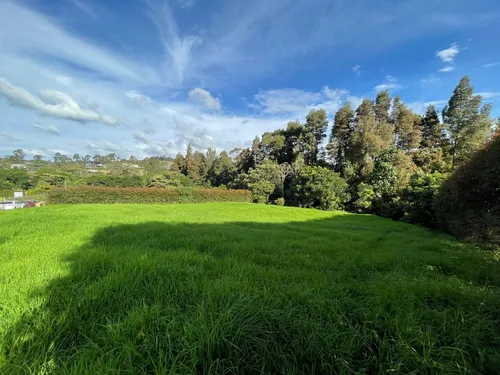 Hermoso Lote Ubicado En El Alto De Las Palmas