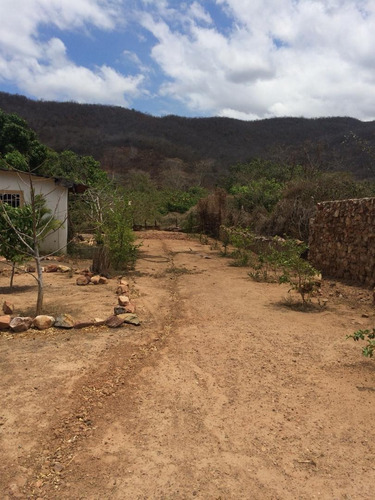 Imagen 12 de 14 de Casa En Venta Con Amplio Terreno 2000m2 Zona Tacal Cumana