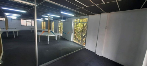 Oficina En Renta, Polanco, 238 M2