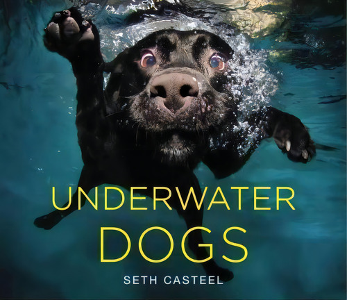 Underwater Dogs, De Seth Casteel. Editorial Little, Brown & Company, Tapa Dura En Inglés