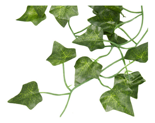 Plantas Artificiales De 82 M De Largo, Hojas De Hiedra Verde