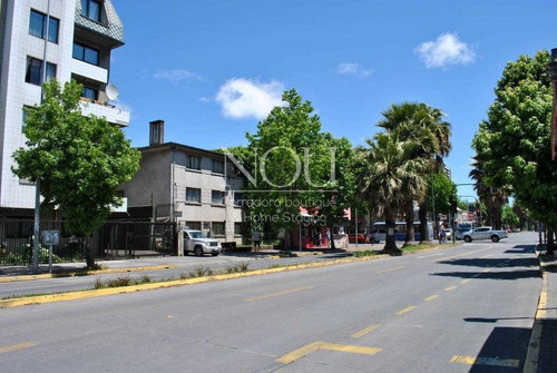 Nou Corredora Boutique / / Amplio Y Soleado Departament...