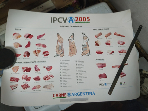 Lámina De Cortes De Carne Vacuno Ipcva