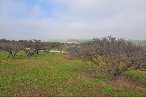 Sector Los Laureles - Terreno En Limache 5000 Mt