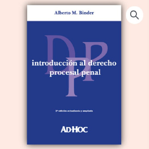 Introducción Al Derecho Procesal Penal - Binder, Alberto