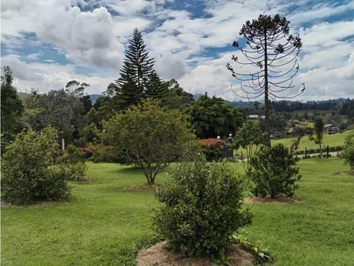 Lote En Venta, Excelente Ubicación Y Topografía, La Mejía - Guarne