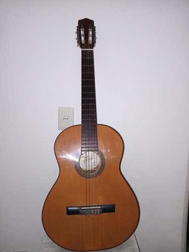 Guitarra Fonseca Modelo 25p