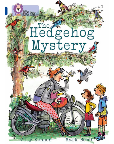 Libro The Hedgehog Mystery-ally Kennen -inglés