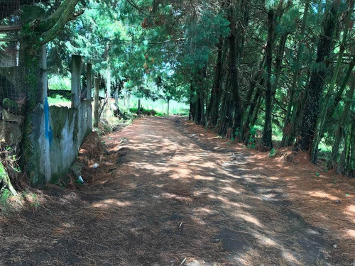 Imagen 6 de 7 de Terreno Muy Tranquilo Para Casa Campestre
