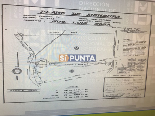 Imagen 13 de 13 de Campo En Garzón Venta Turístico