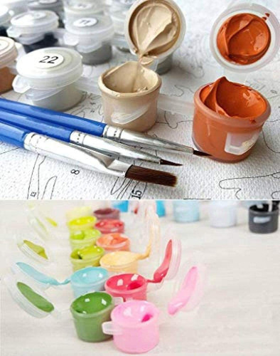 Pájaros Kit Pintura Por Números 30x40 Lienzo Con Bastidor