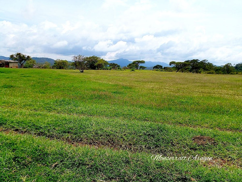 Increíble Terreno Con Manantial