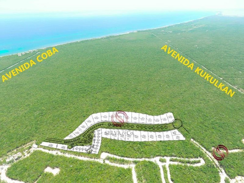 Imagen 3 de 12 de Terreno En Venta Aldea Zama Tulum