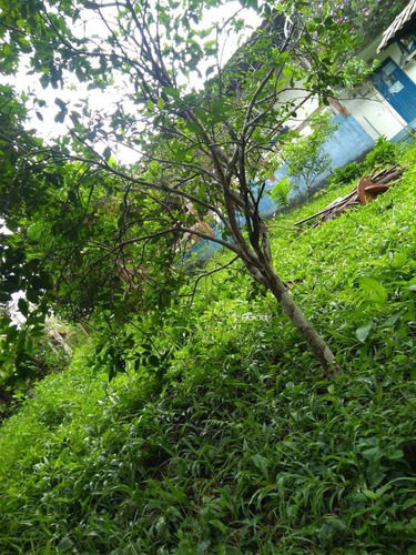 Imagem 6 de 7 de Chácara Com 1 Dorm, Parque Boa Vista, Embu-guaçu - R$ 190 Mil, Cod: 1842 - V1842
