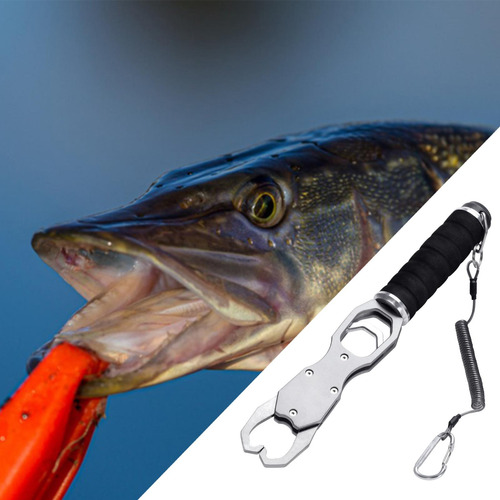 Pescado Con Accesorios De Pesca A Escala Accesorios Argén