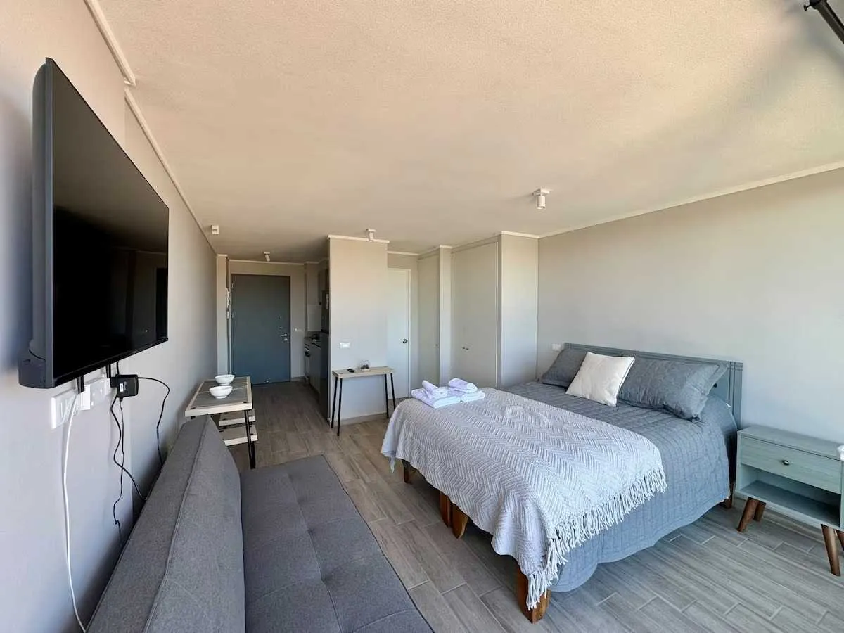 Imagen 2 de 19 de Depto 28 M² Opción Amoblado $300.000 (170853)