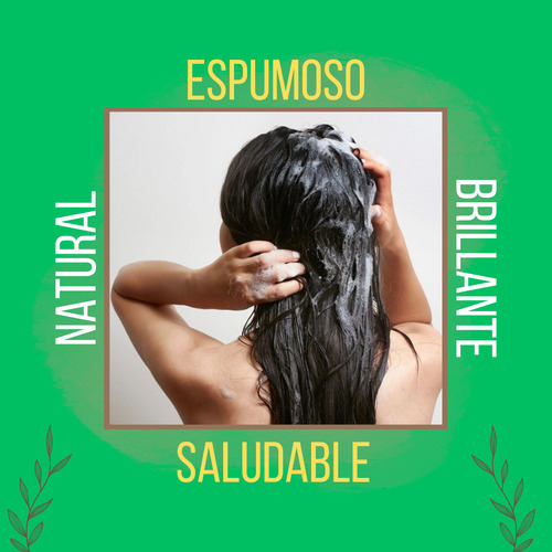 10 Set Acondicionador Hechizo Verde Coco Sábila Colageno Kit