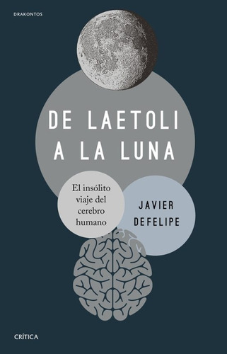 De Laetoli A La Luna El Insolito Viaje Del Cerebro Humano