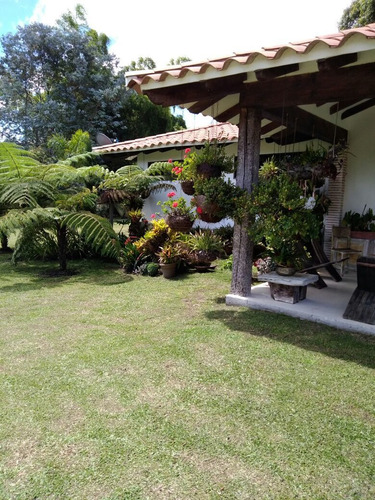 Imagen 13 de 14 de Venta De Finca En Llano Grande A 8 Minutos Del Mall