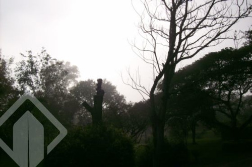 Imagem 12 de 15 de Terreno - Aberta Dos Morros - Ref: 91131 - V-91131