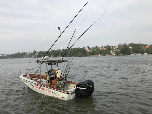 Imagen 7 de 13 de Boston Whaler
