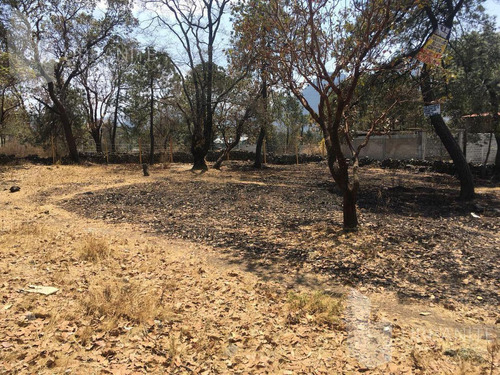 Terreno En Venta En Santo Tomas Ajusco