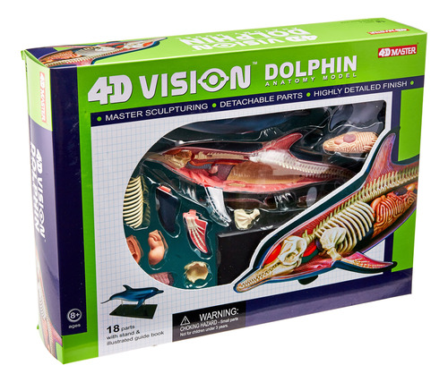 Famemaster 4d-vision Modelo De Anatomia De Delfines