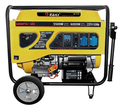 Generador De Luz Monofasico / Gasolina / 6000w / Electrico