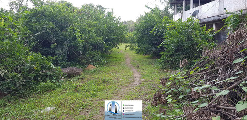 Imagem 8 de 30 de Chácara Em Parque Capivari, Duque De Caxias/rj De 100000m² 2 Quartos À Venda Por R$ 500.000,00 - Ch596274-s