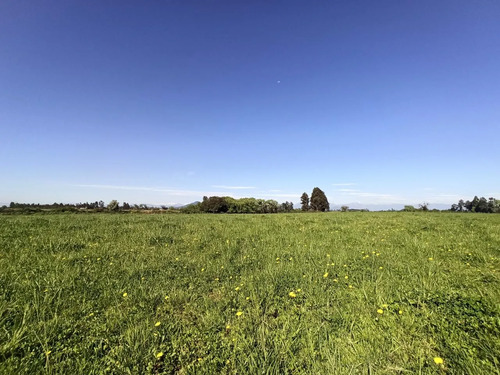 Terreno Agrícola De 6,8 Ha En Venta En San Clemente