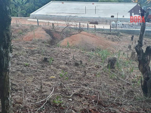 Imagem 3 de 11 de Terreno À Venda, 250 M² Por R$ 80.000 - Cabreúva - Mairiporã/sp - Te0229