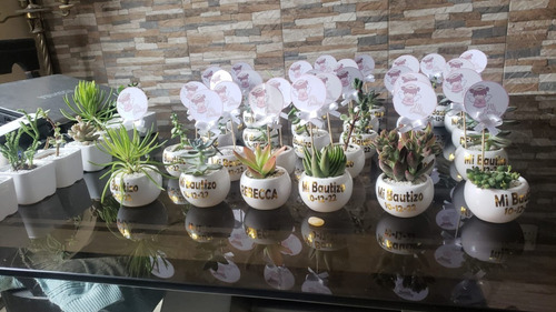Imagen 3 de 10 de Regalos, Plantas Cactus Suculentas, Matrimonios Bautizo Misa