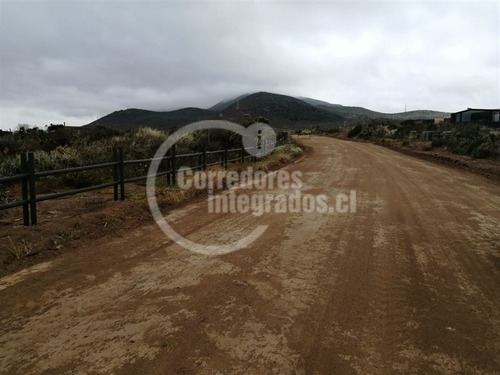 Imagen 10 de 19 de Sitio En Venta En Rocas Del Mar, Los Molles