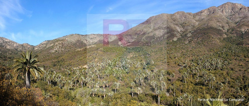 :::: Conecta Con La Tierra. Tranquilidad Y Naturaleza ::::