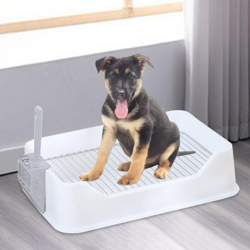 Inodoro Para Perros Y Mascotas, Bandeja De Adiestramiento